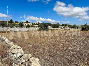 foto principale del terreno