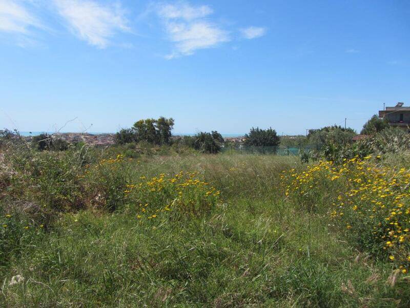 foto principale del terreno