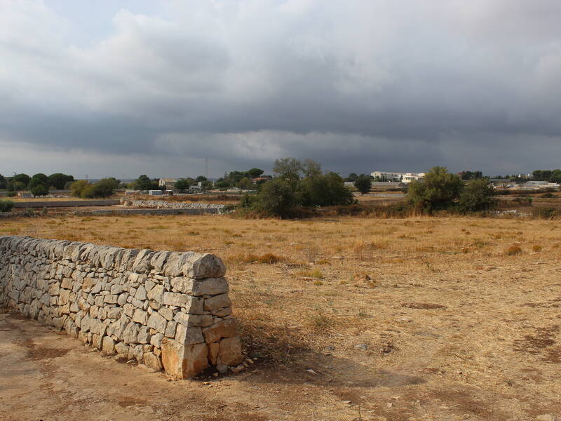 foto principale del terreno