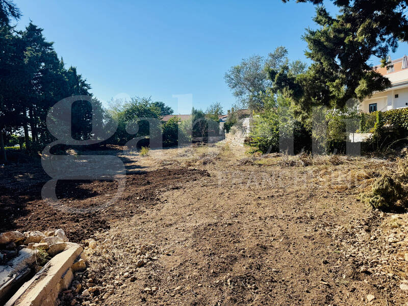 foto principale del terreno