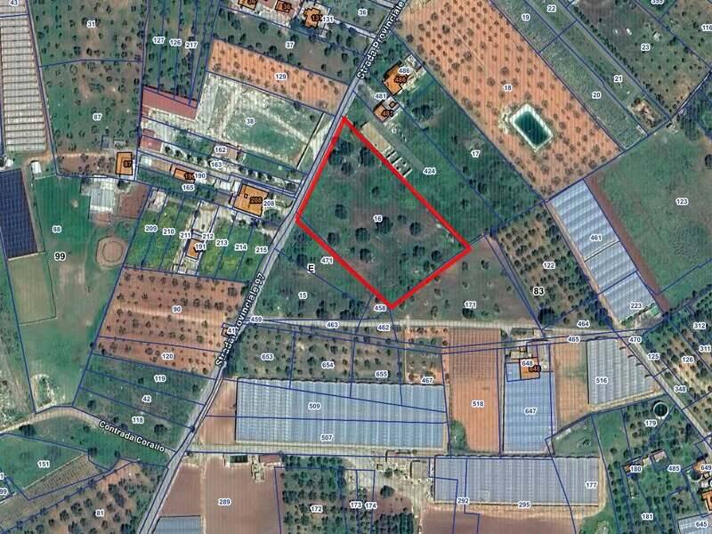 foto principale del terreno