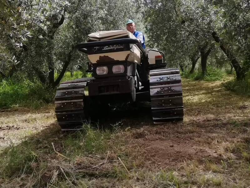 immagine annuncio 2 di 5