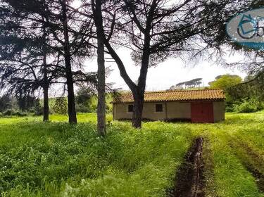 foto principale del terreno