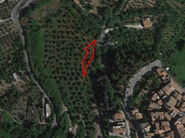 foto principale del terreno