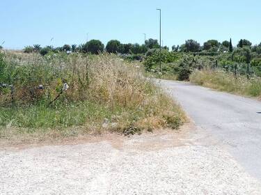 foto principale del terreno