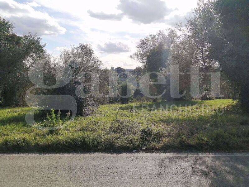 foto principale del terreno