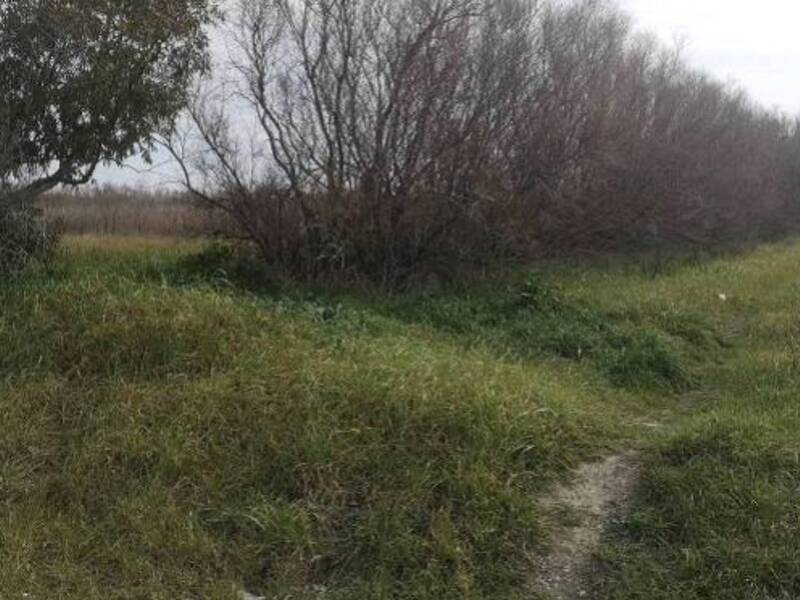 foto principale del terreno