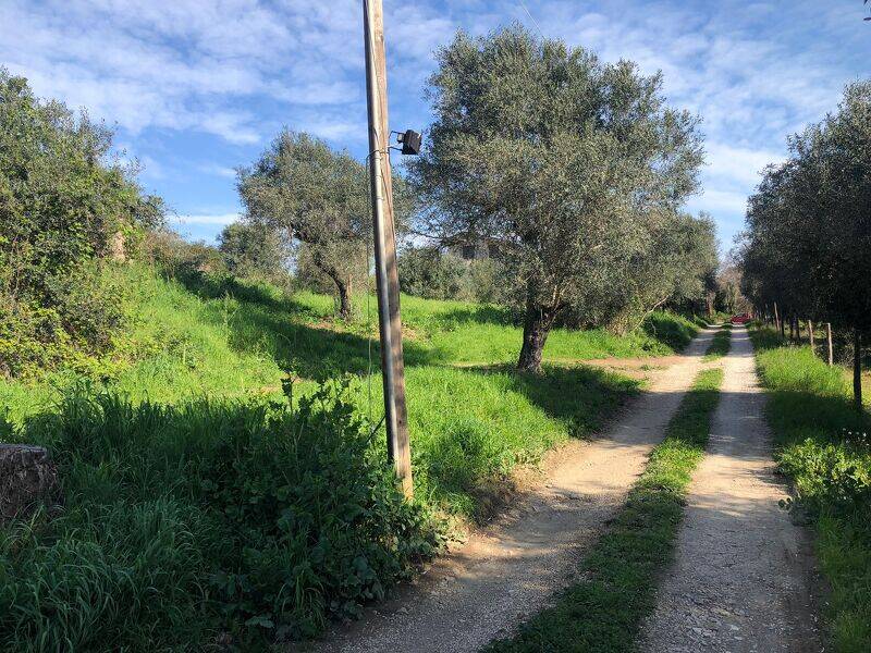 immagine annuncio 1 di 4