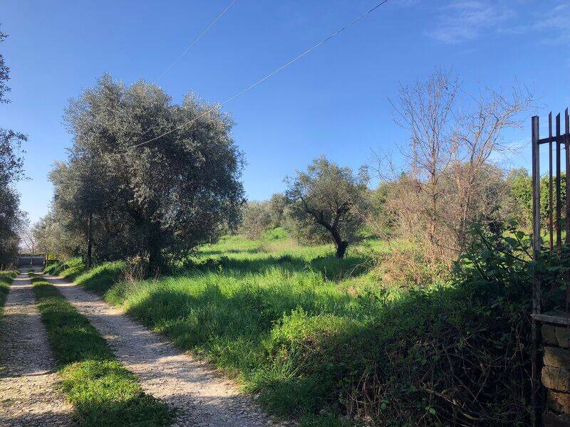 immagine annuncio 3 di 4