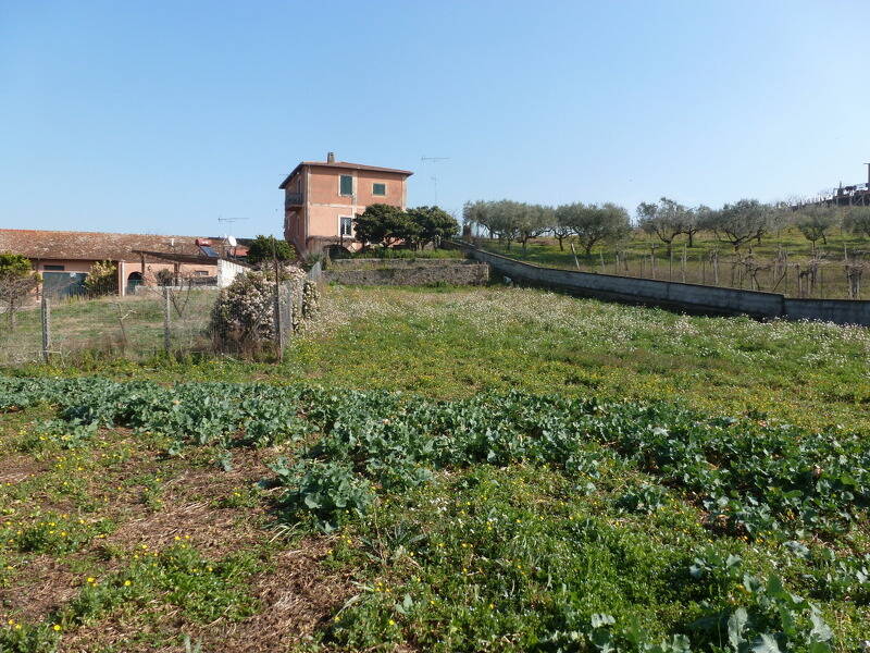 foto principale del terreno