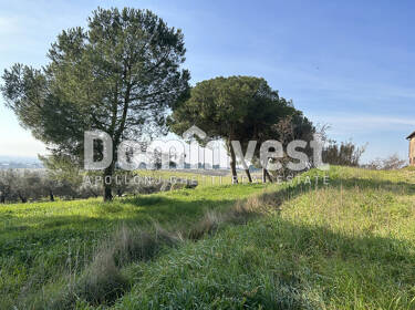 foto principale del terreno