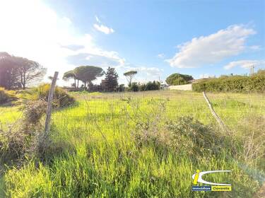 foto principale del terreno