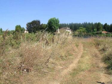 foto principale del terreno