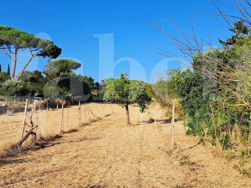 foto principale del terreno