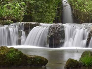 foto principale del terreno