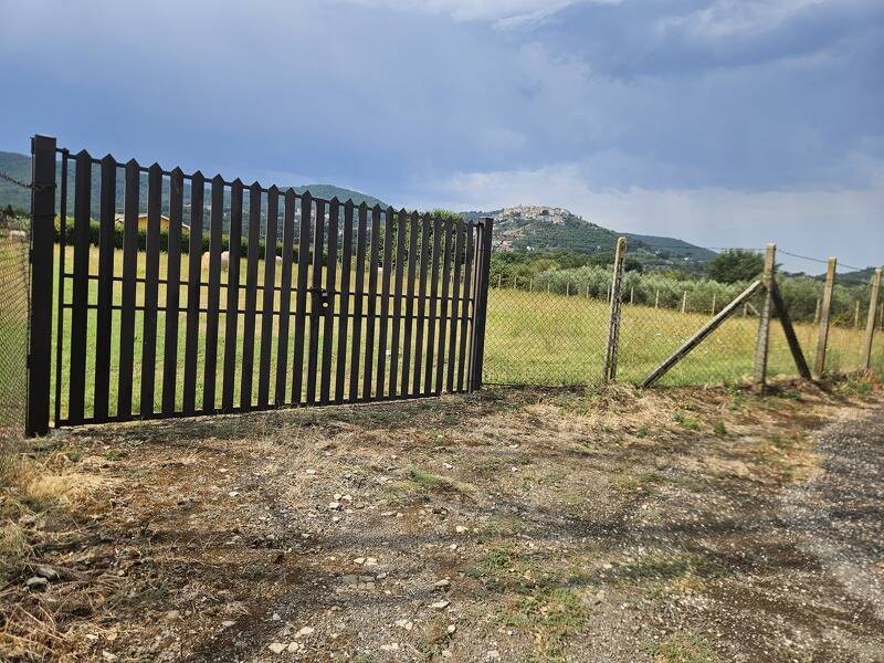 foto principale del terreno