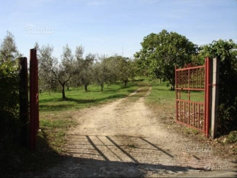 immagine annuncio 3 di 4