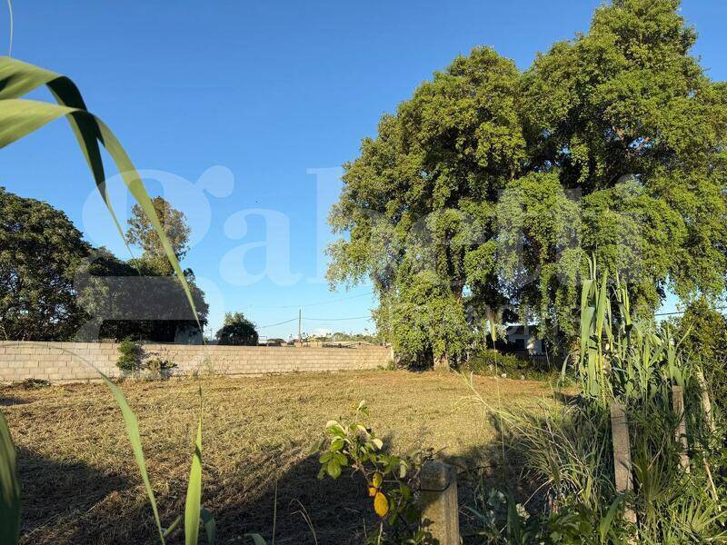foto principale del terreno
