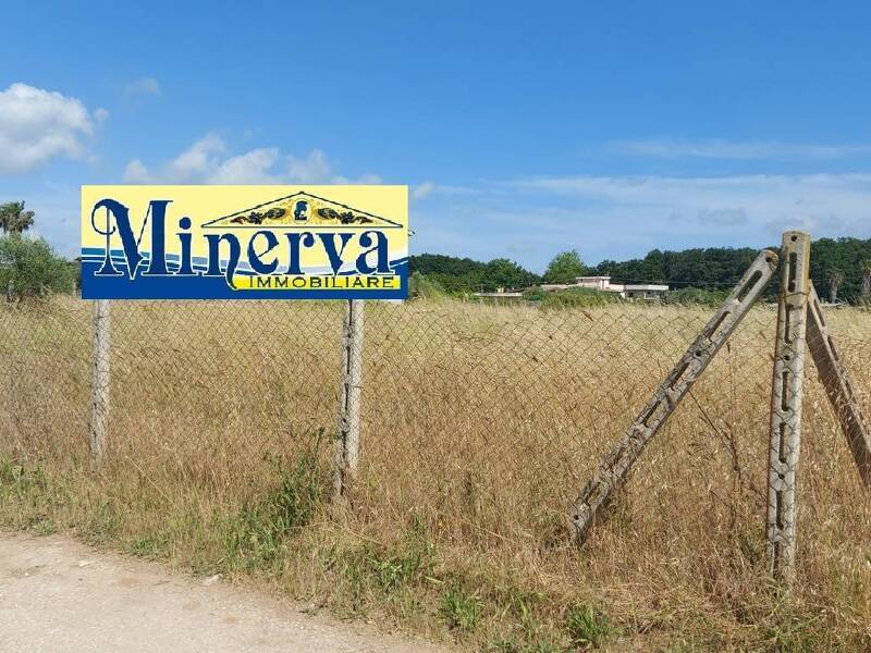 foto principale del terreno