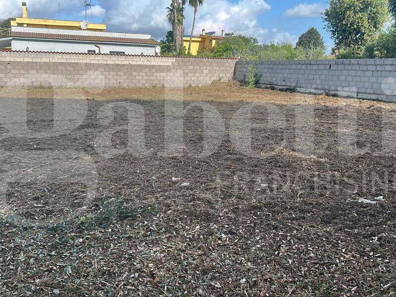 foto principale del terreno