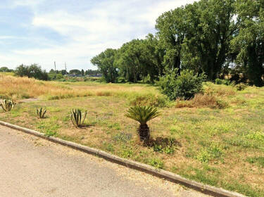 foto principale del terreno