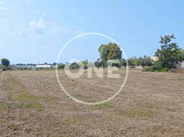 foto principale del terreno