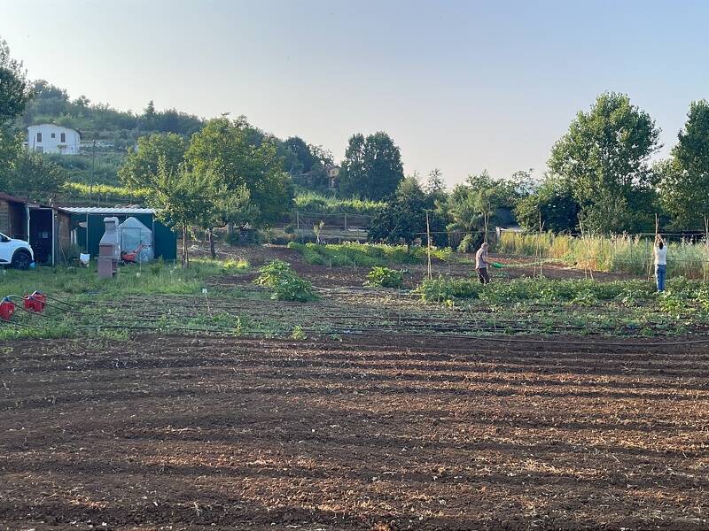 foto principale del terreno