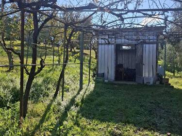 foto principale del terreno