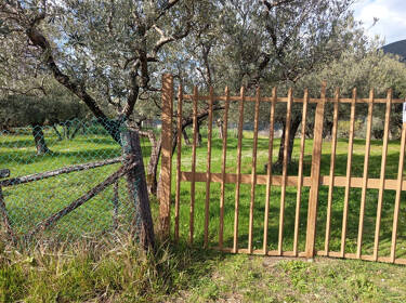 foto principale del terreno