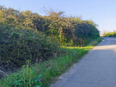 foto principale del terreno