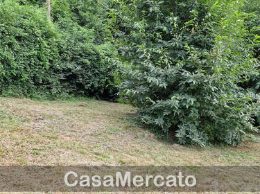 foto principale del terreno