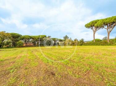 foto principale del terreno