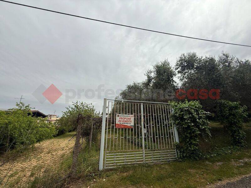 foto principale del terreno