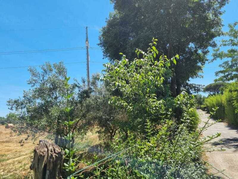 foto principale del terreno