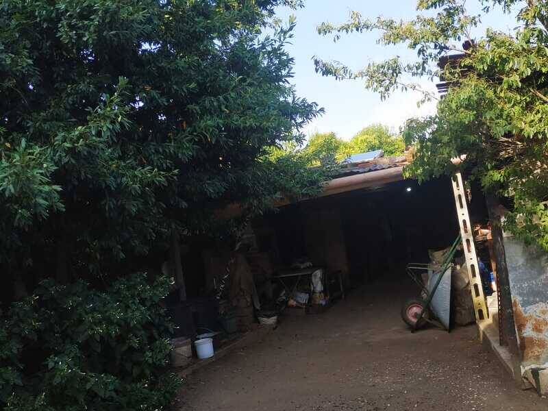 foto principale del terreno