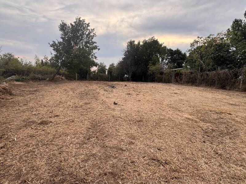 foto principale del terreno