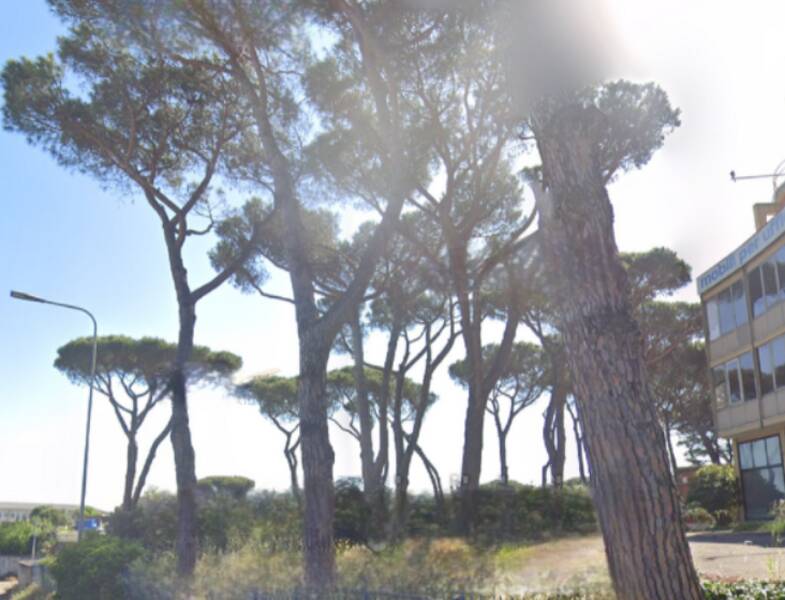 foto principale del terreno