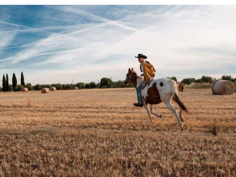 foto principale del terreno