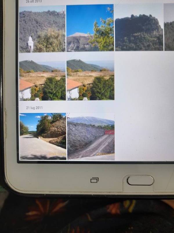 foto principale del terreno