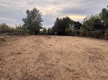 foto principale del terreno