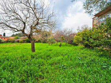 foto principale del terreno