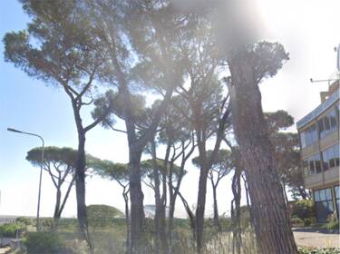 foto principale del terreno