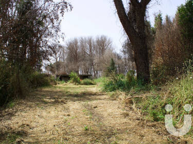 foto principale del terreno