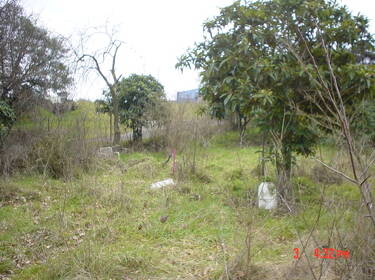 foto principale del terreno