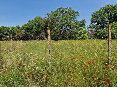 foto principale del terreno