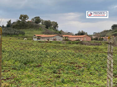 foto principale del terreno