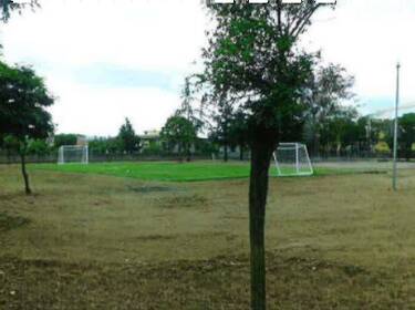 foto principale del terreno