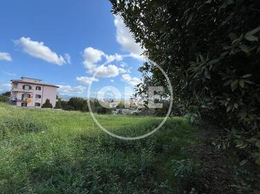 foto principale del terreno