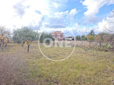 foto principale del terreno