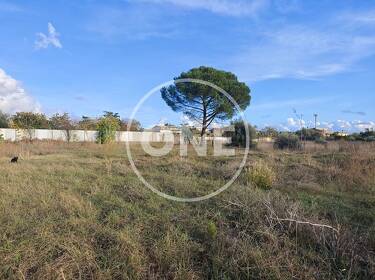 foto principale del terreno